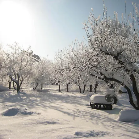 Piiri House Dom wakacyjny Otepää