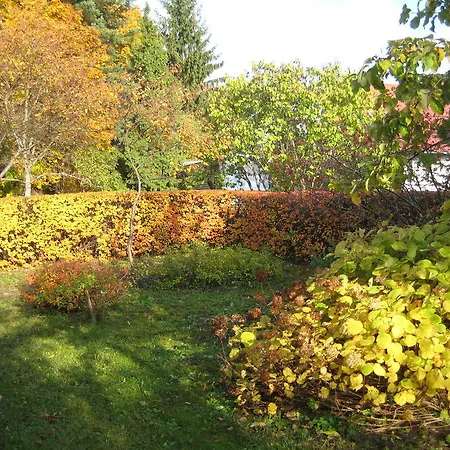 Piiri House Dom wakacyjny