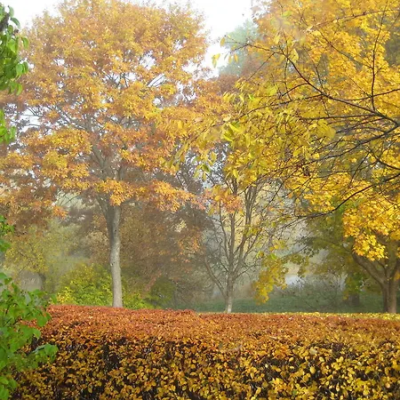 Piiri House * Otepää