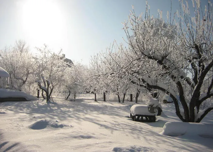 Piiri House Tatil Evi Otepää