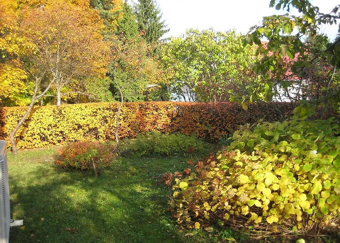 Piiri House Tatil Evi